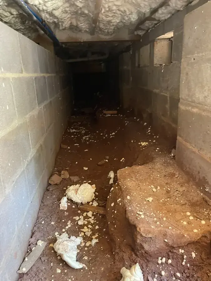 Basement pumped and dried after a sump failure in Enfield, CT
