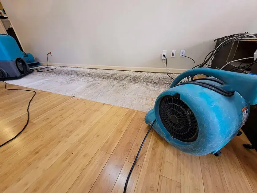 Air mover drying a hardwood floor in Enfield, CT