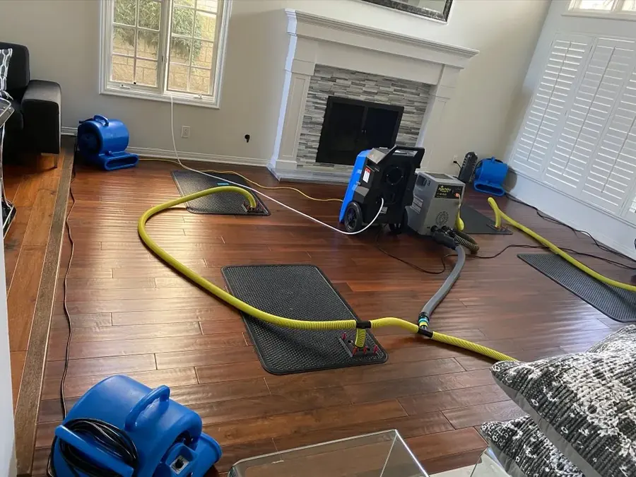 Air movers and dehumidifiers drying an Enfield, CT room